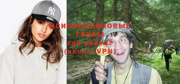 мдпв Балахна